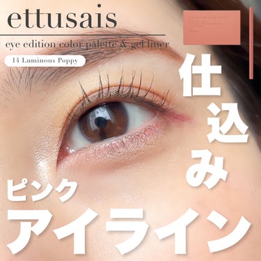 アイエディション(カラーパレット)/ettusais/アイシャドウパレットを使ったクチコミ（1枚目）