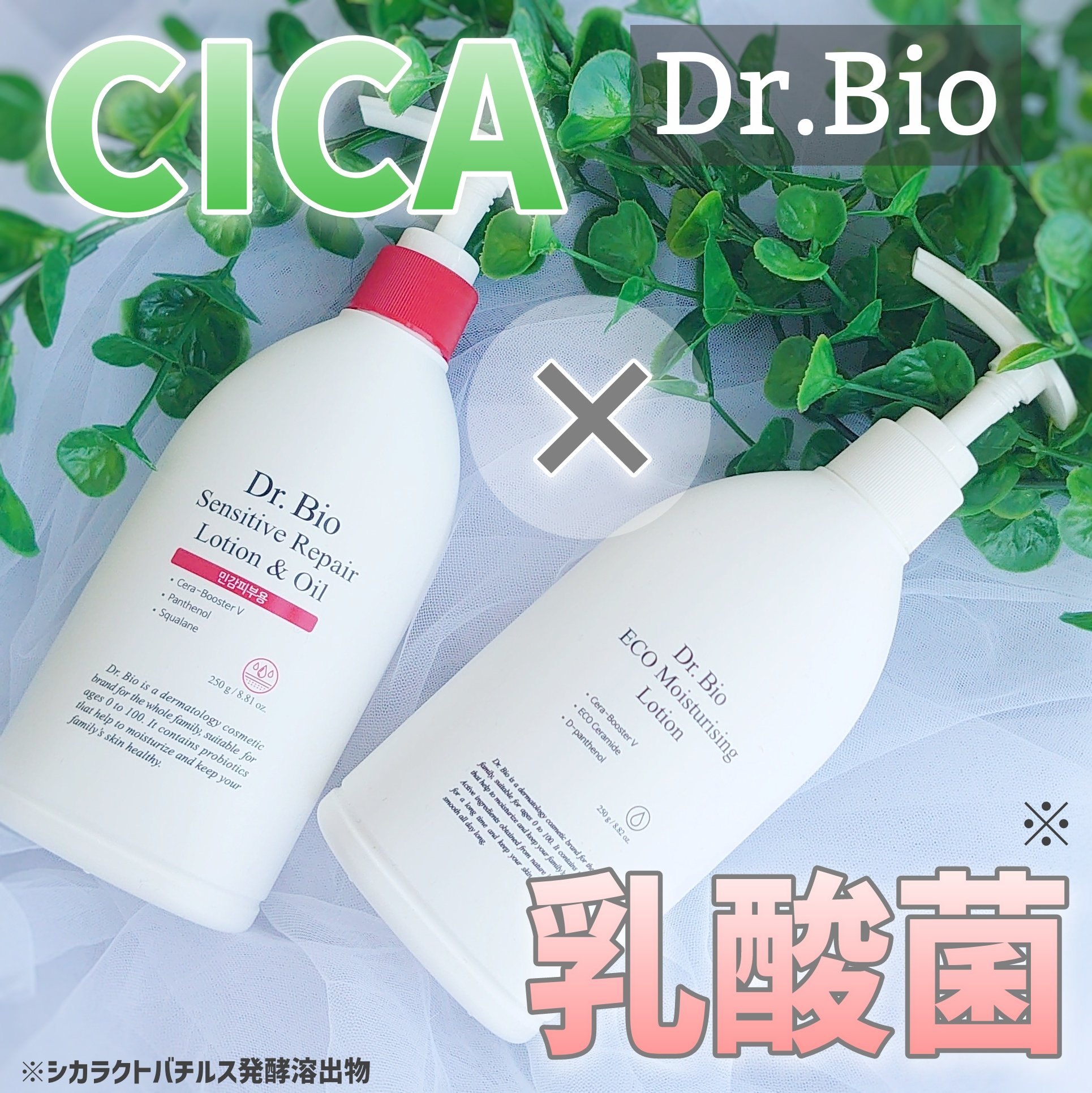 センシティブ リペア ローション&オイル/Dr.Bio/ボディクリームを使ったクチコミ（1枚目）