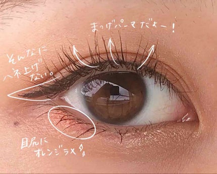 ウォータープルーフ リキッドアイライナー/CAROME./リキッドアイライナーを使ったクチコミ(1枚目)