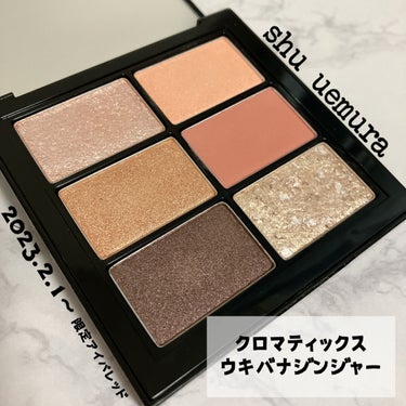 クロマティックス ウキバナジンジャー/shu uemura/パウダーアイシャドウを使ったクチコミ（2枚目）