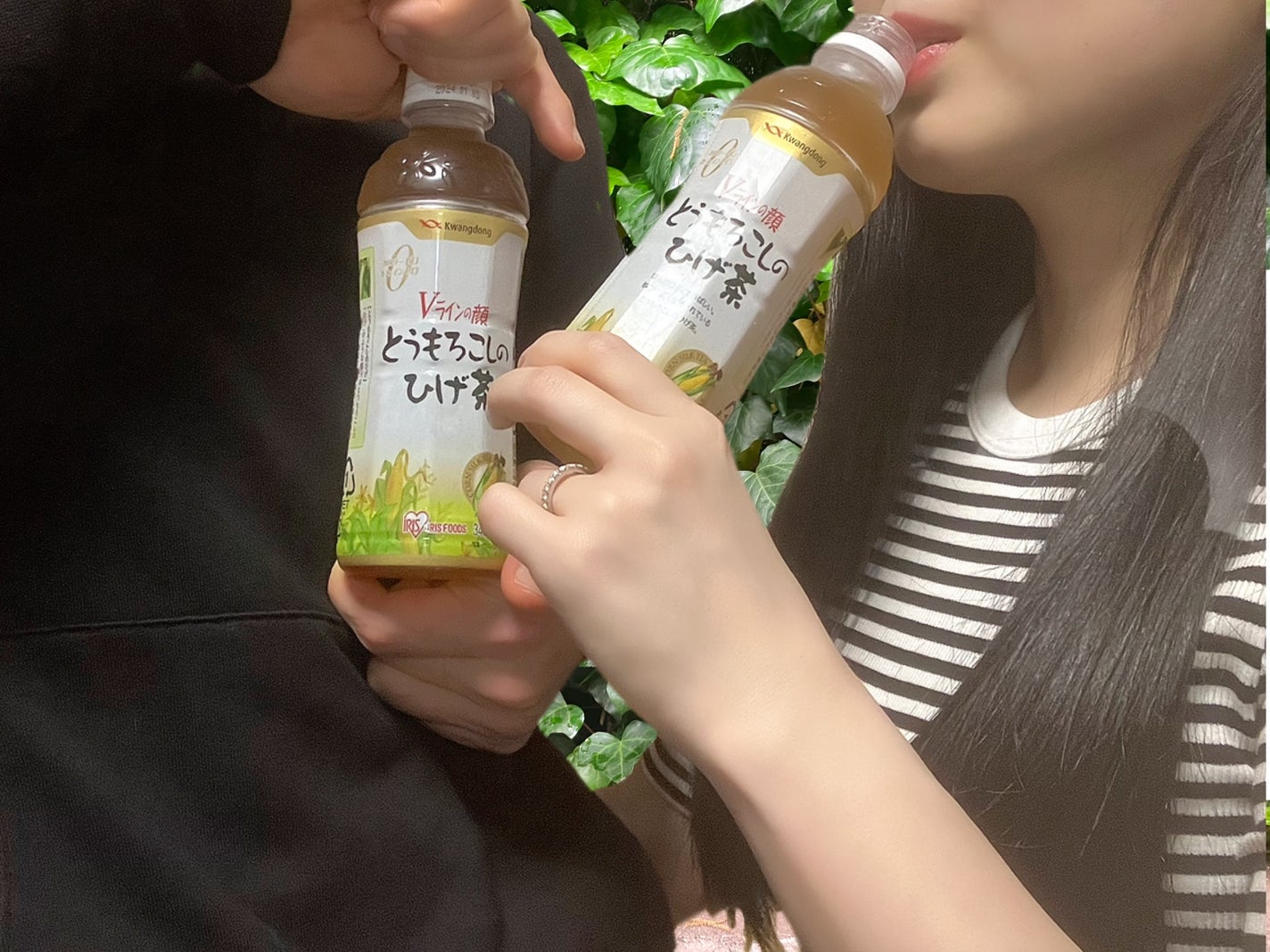 とうもろこしのひげ茶/アイリスオーヤマ/ドリンクを使ったクチコミ(1枚目)