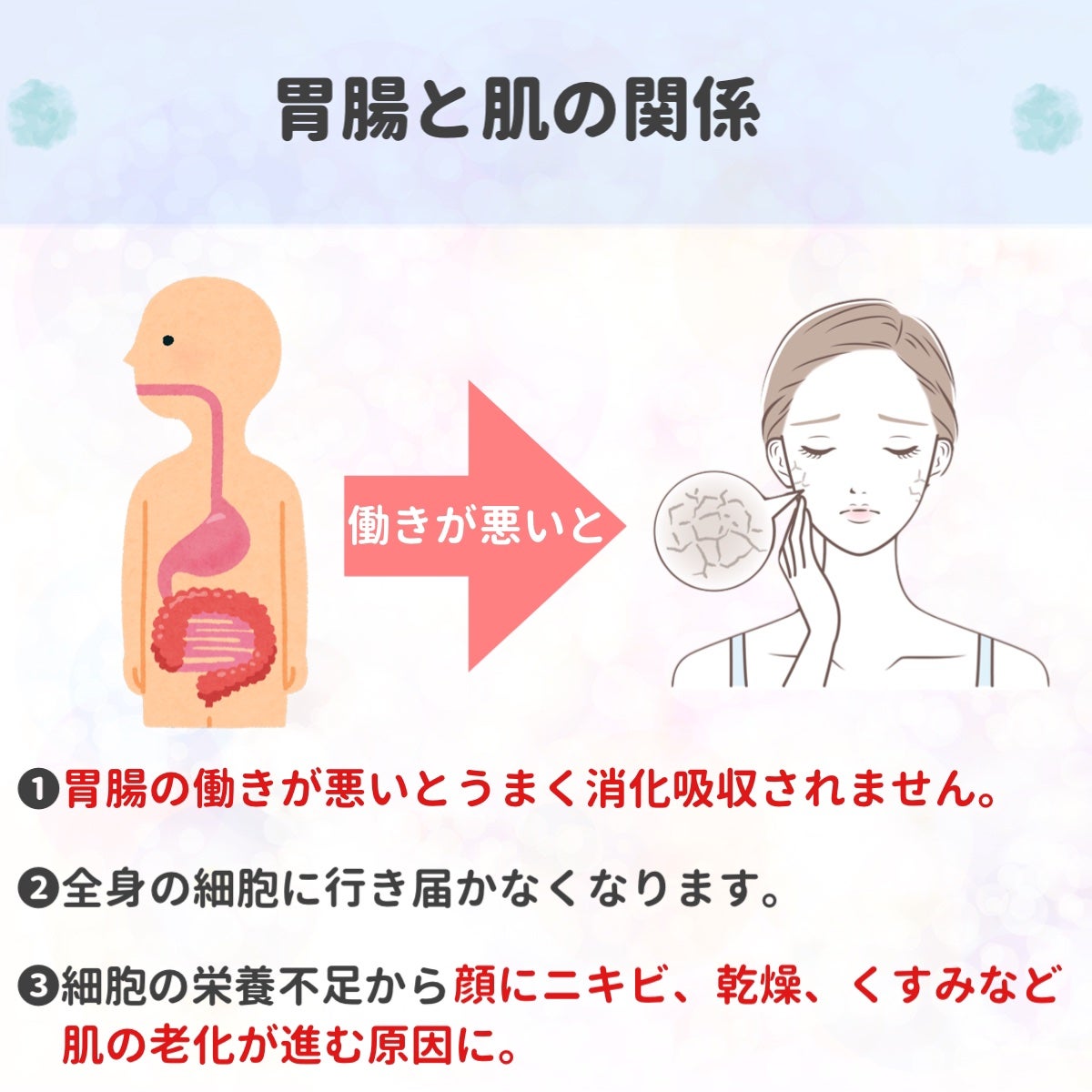 青パパイヤ酵素/コスメキッチン/健康サプリメントを使ったクチコミ(3枚目)