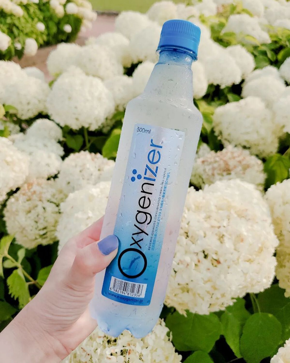 オキシゲナイザー/アクシス/ミネラルウォーターを使ったクチコミ（2枚目）