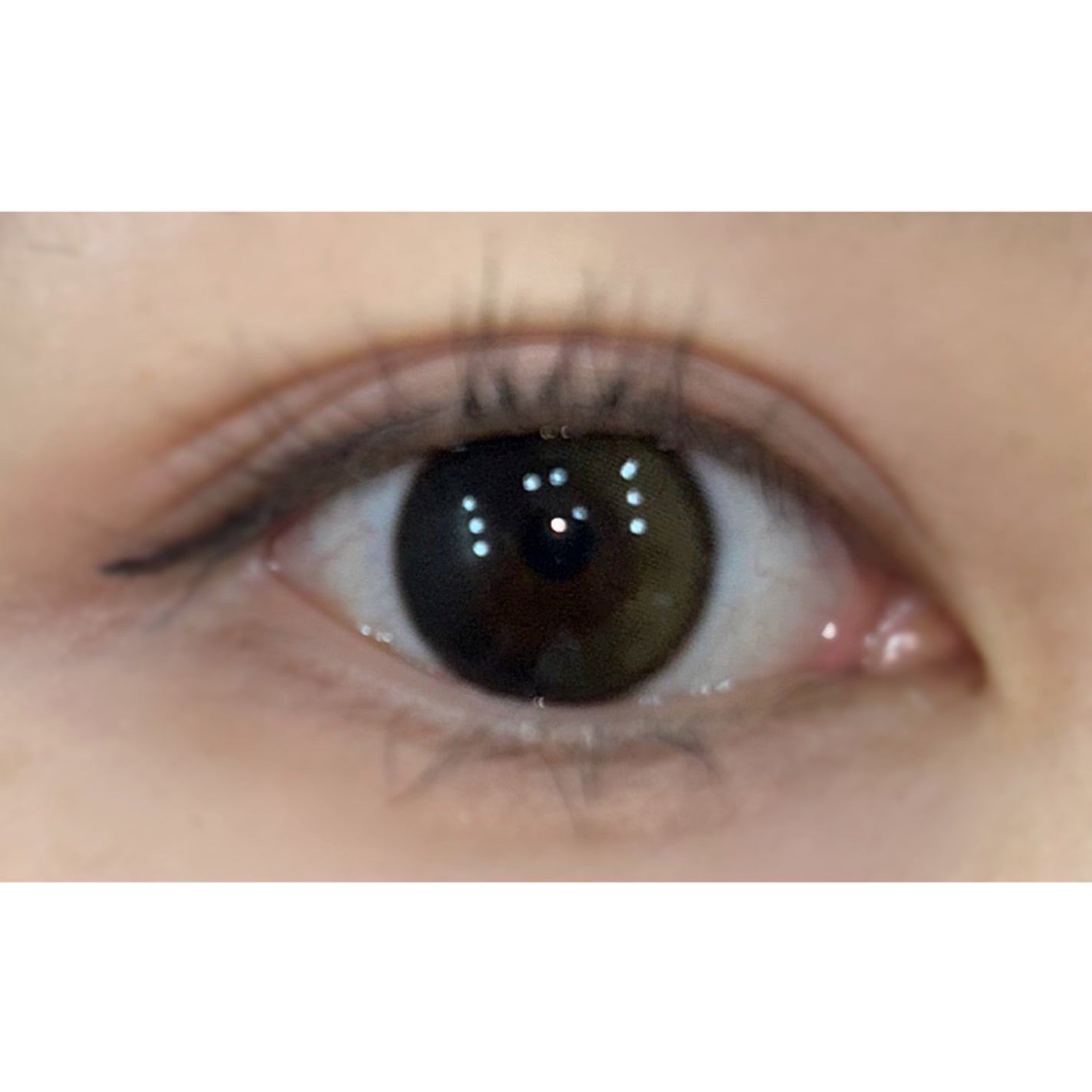 Secretive Kristen 1day/Hapa kristin/ワンデー(1DAY)カラコンを使ったクチコミ(3枚目)