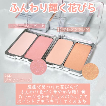 デュアルチーク/2aN/パウダーチークを使ったクチコミ(7枚目)