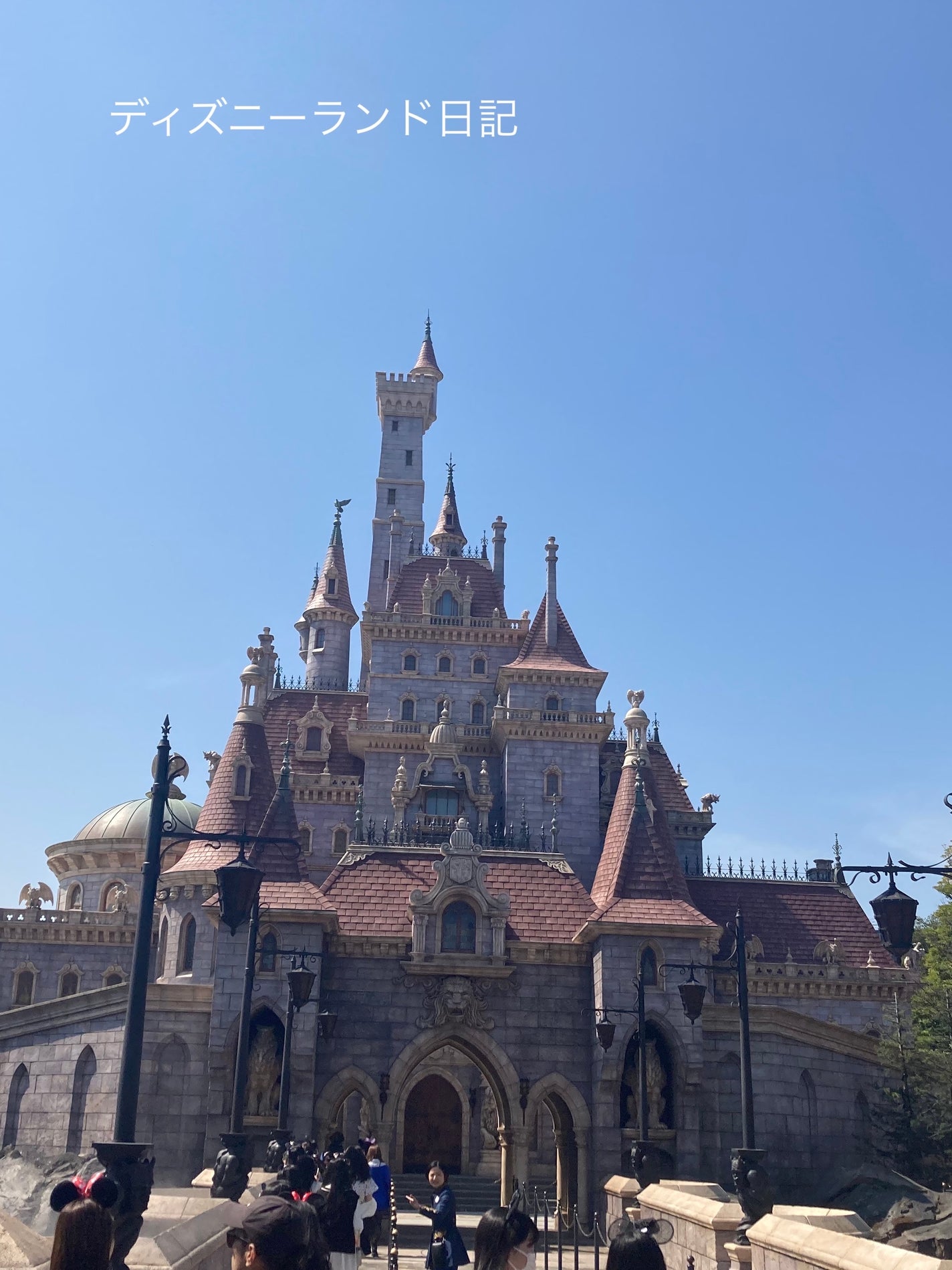 椋❀ on LIPS 「ディズニーランド日記NO.1🎀🎀🎀🎀🎀🎀🎀🎀🎀🎀🎀🎀🎀🎀🎀🎀⚠..」(1枚目)