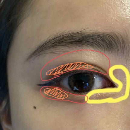 プロ アイ パレット/CLIO/アイシャドウパレットを使ったクチコミ(2枚目)