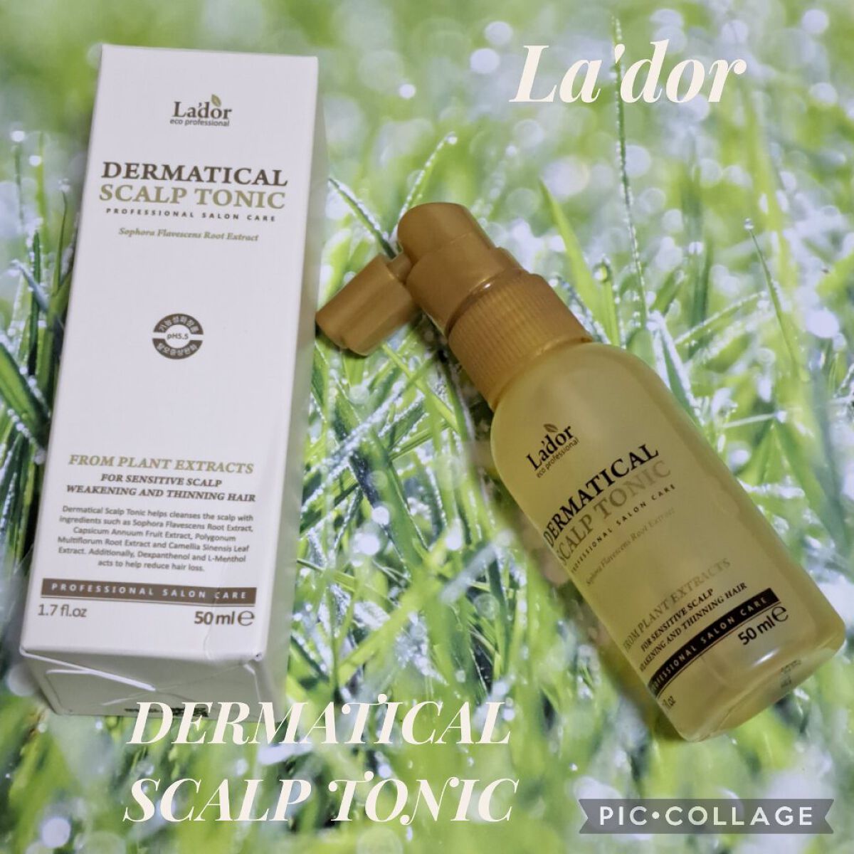 DERMATICAL SCALP TONIC / La'dor