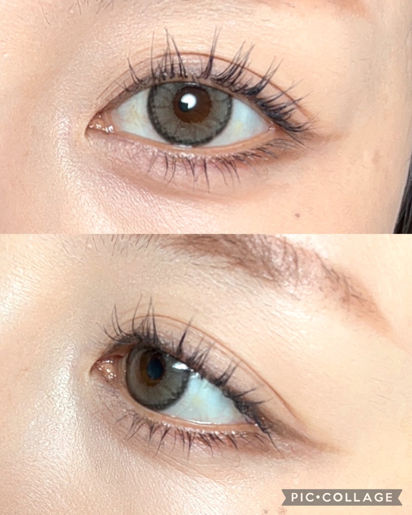 シャドウパレット/dasique/アイシャドウパレットを使ったクチコミ(5枚目)