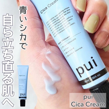 cica cream/PUI/フェイスクリームを使ったクチコミ（1枚目）