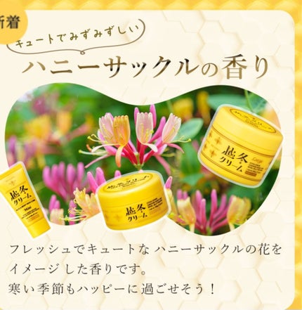 越冬クリーム R 100g/ビーハニー/ボディクリームの画像