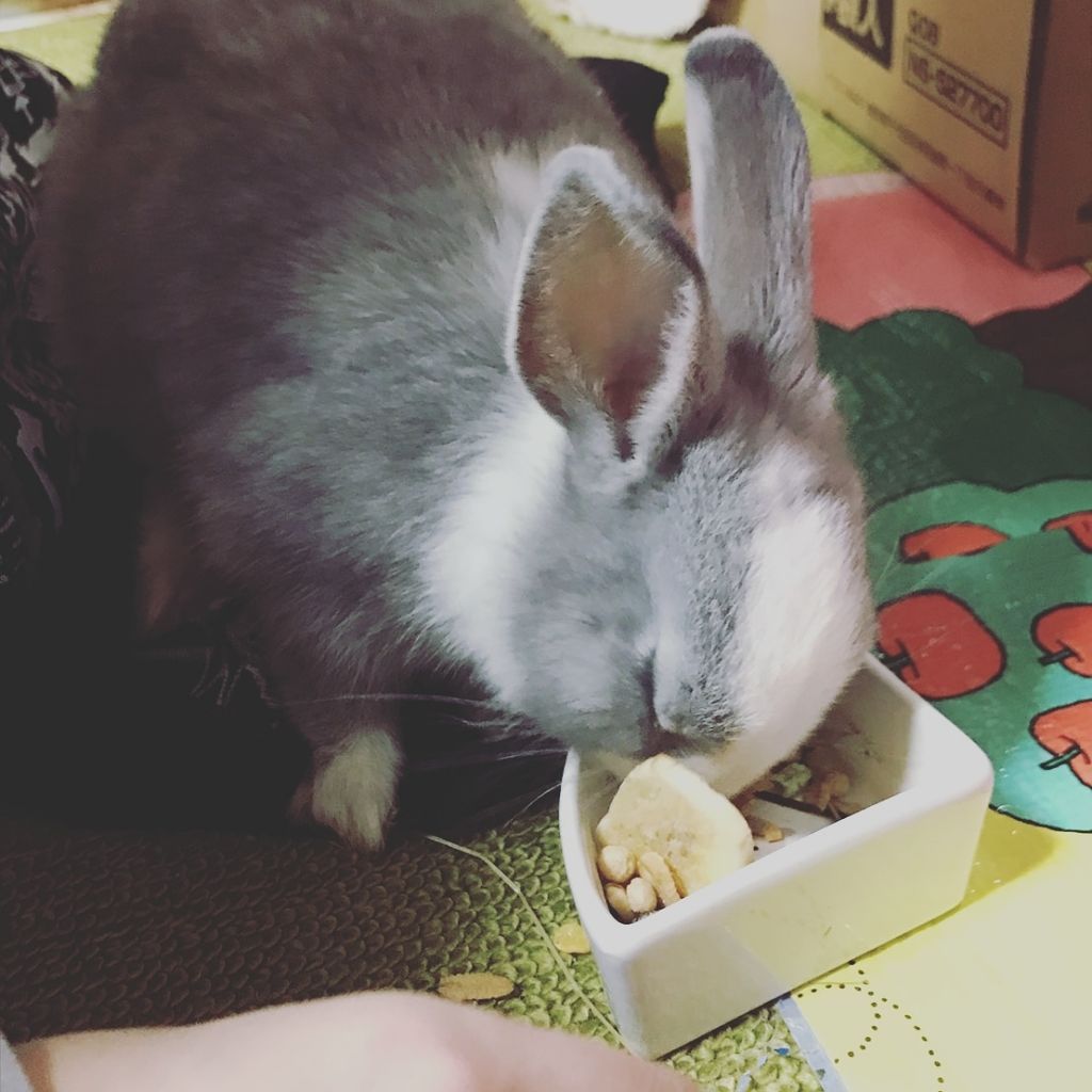 ウオーター/アベンヌ/ミスト状化粧水を使ったクチコミ（1枚目）