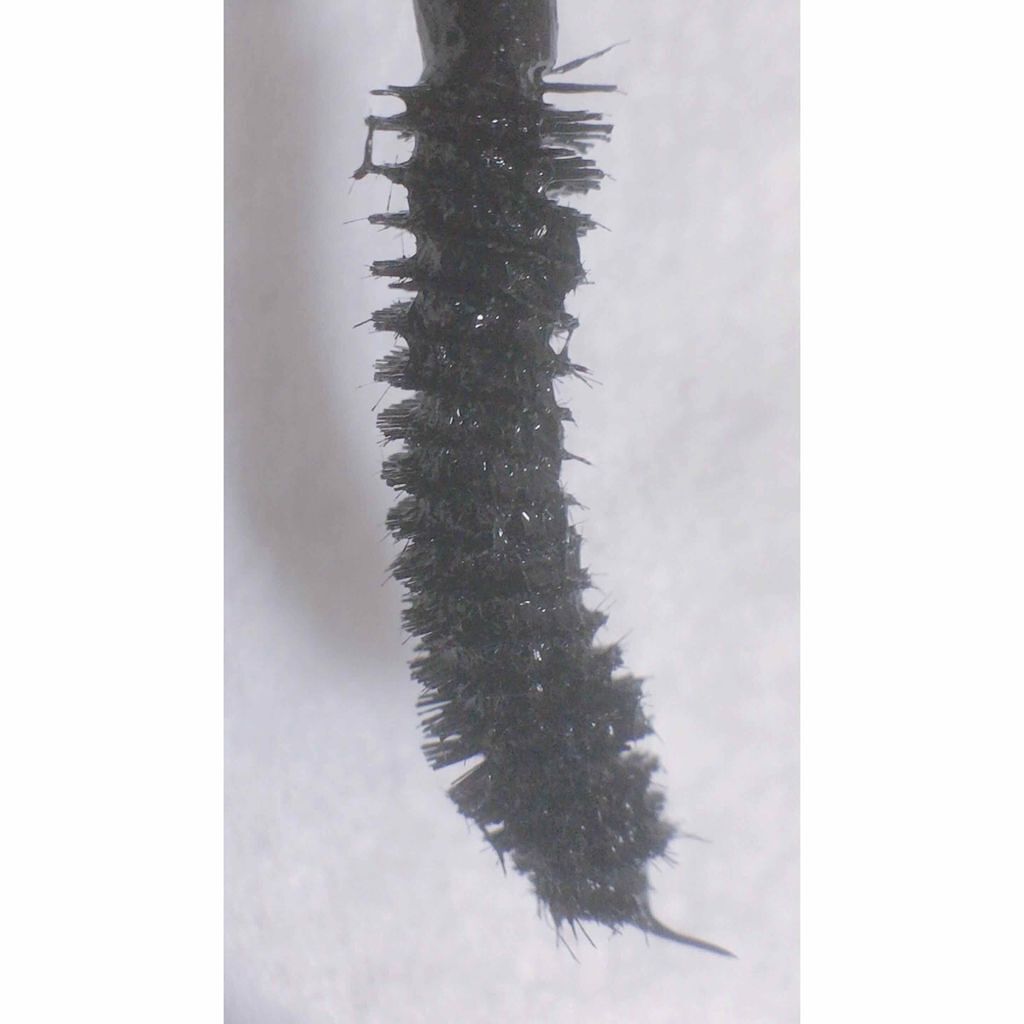 「塗るつけまつげ」ロングタイプ/デジャヴュ/マスカラを使ったクチコミ(2枚目)