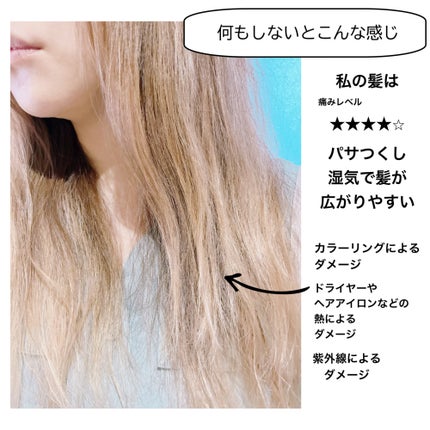 トリートメントリペアミルク/ディアボーテ/ヘアミルクを使ったクチコミ(3枚目)