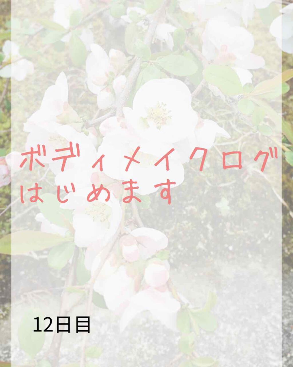 ここあ on LIPS 「ここあです!ボディメイク12日目です!今日したこと⬜︎散歩⬜︎..」(1枚目)