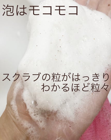 アロエスクラブ洗顔/エブリッシュ/洗顔フォームを使ったクチコミ(4枚目)