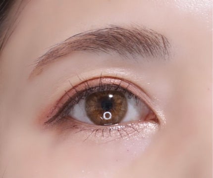 リアルクローズシャドウ/excel/アイシャドウパレットを使ったクチコミ(6枚目)