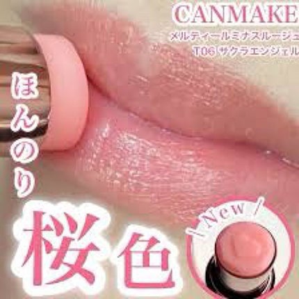 メルティールミナスルージュ/キャンメイク/口紅を使ったクチコミ(2枚目)