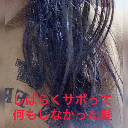 ローヤルゼリー配合 栄養ローション/DAISO/美容液を使ったクチコミ(2枚目)