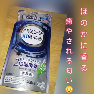 ハミング消臭実感 リフレッシュグリーンの香り/ハミング/柔軟剤を使ったクチコミ（1枚目）