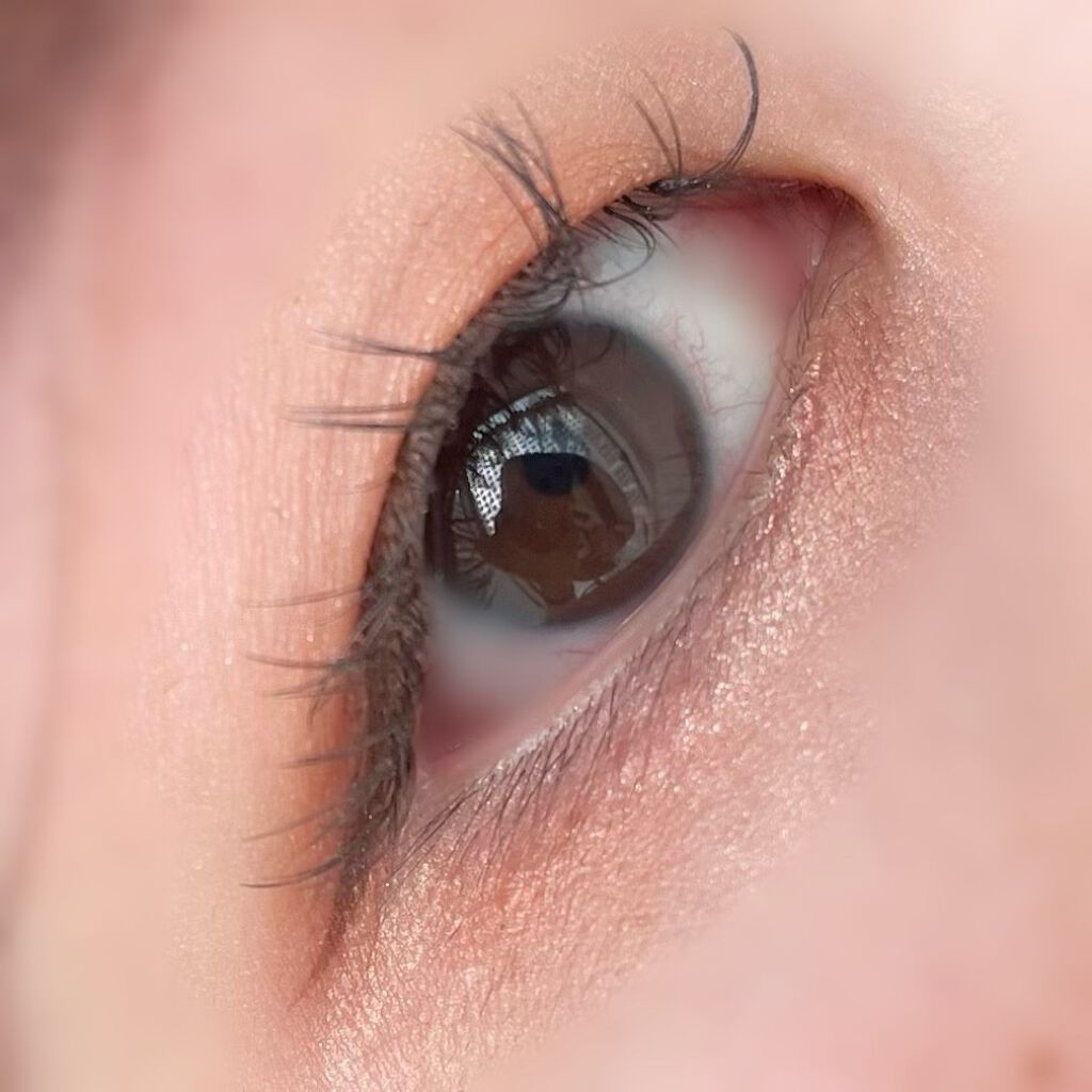 レ ベージュ パレット ルガール/CHANEL/アイシャドウパレットを使ったクチコミ(3枚目)