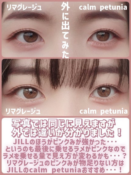 シルキースフレアイズ(マットタイプ)/キャンメイク/アイシャドウパレットを使ったクチコミ(7枚目)