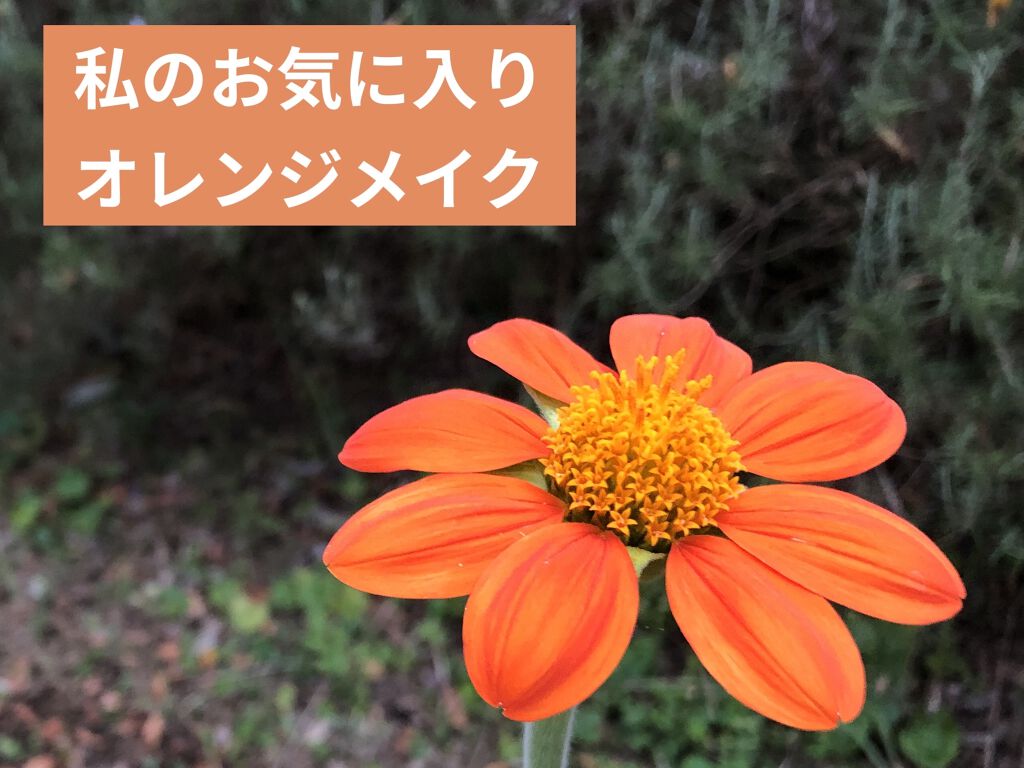 ミネラルルージュN ラズベリーピンク/ONLY MINERALS/口紅を使ったクチコミ（1枚目）