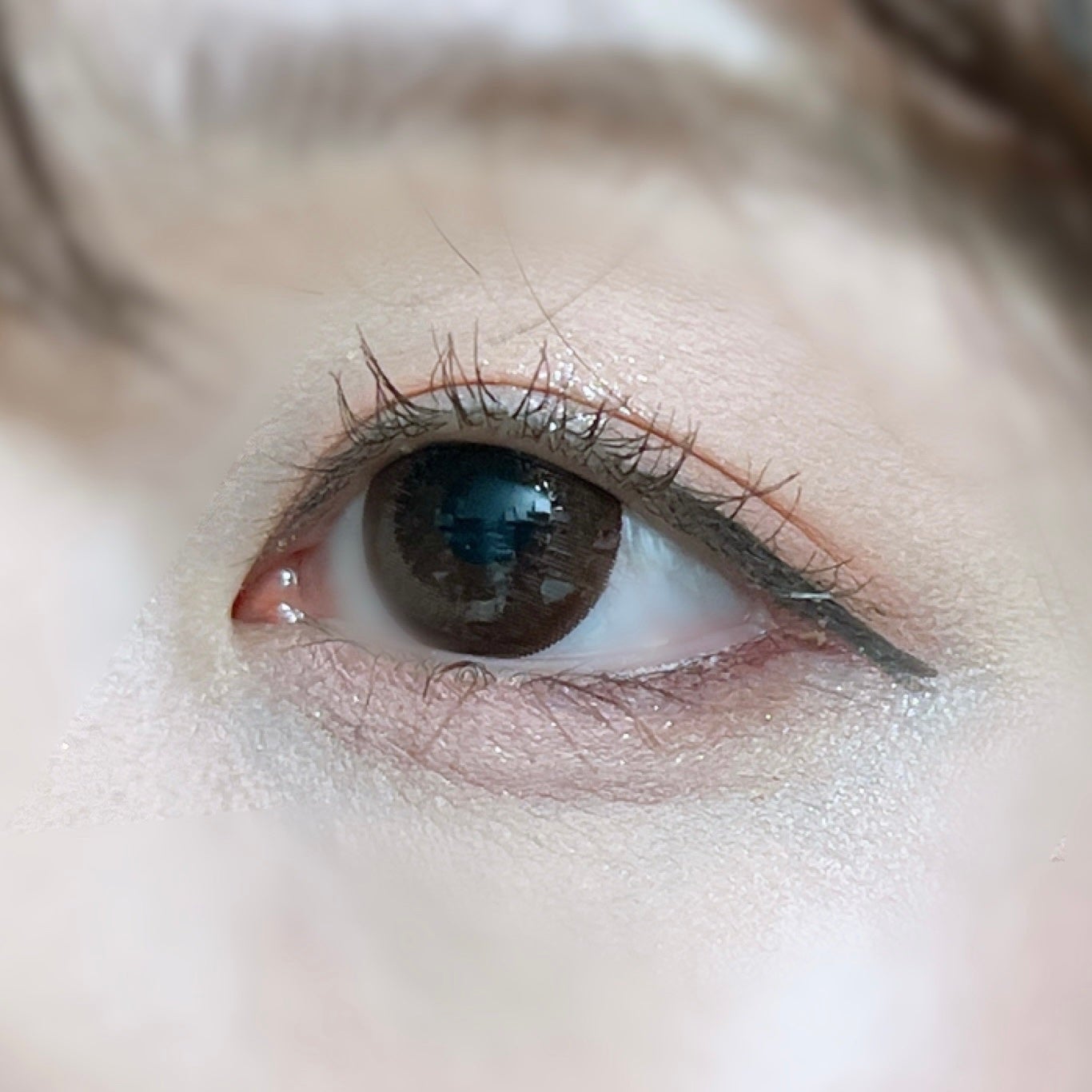 エバーカラーワンデー ナチュラル/エバーカラー/ワンデー(1DAY)カラコンを使ったクチコミ(1枚目)