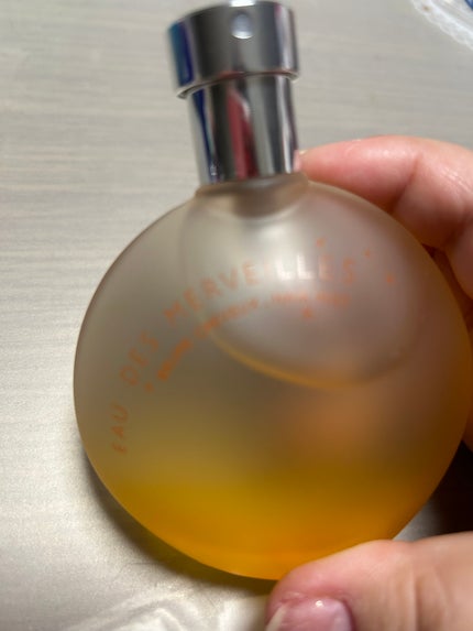 オーデメルヴィユ パフォームド ヘアミスト/エルメス/ヘアミストを使ったクチコミ(1枚目)