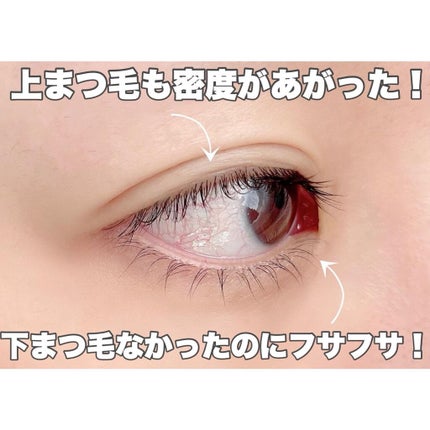エグータム/アルマダスタイル/まつげ美容液を使ったクチコミ(3枚目)