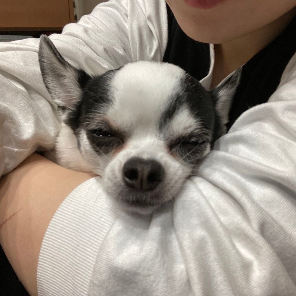 しに子ちゃん on LIPS 「秘書検定受かってたよ✌️🥰2級・3級ダブル合格💮エナドリ飲み散..」(4枚目)