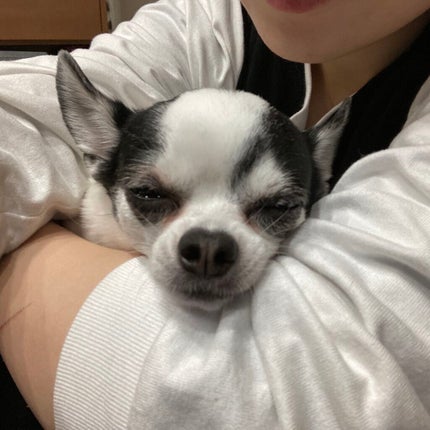 しに子ちゃん on LIPS 「秘書検定受かってたよ✌️🥰2級・3級ダブル合格💮エナドリ飲み散..」(4枚目)