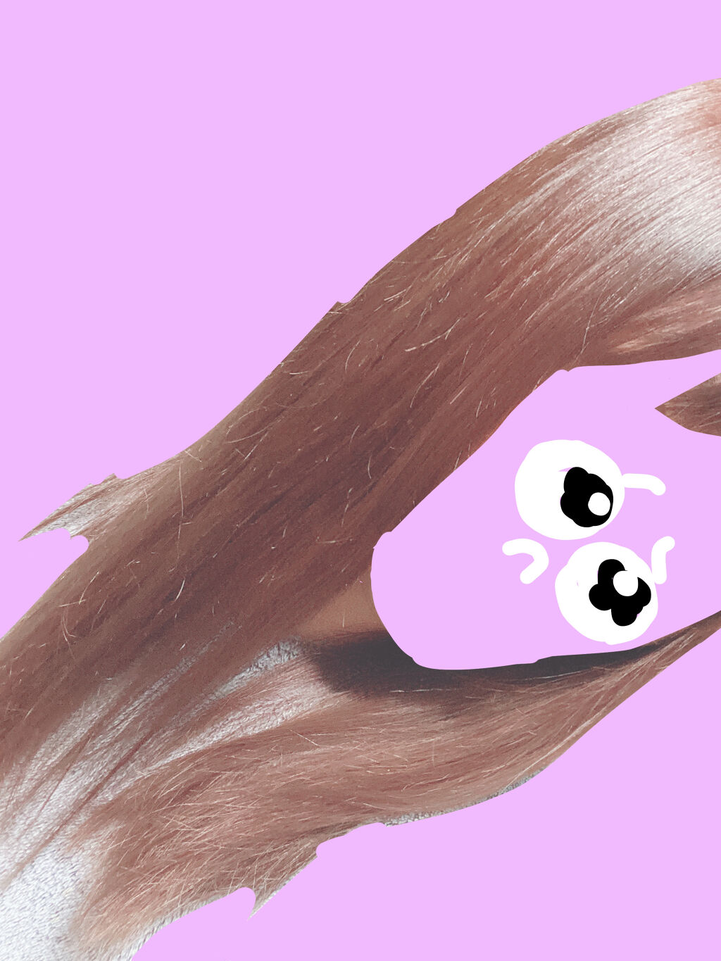 フィルメロウ ヘアトリートメント/オージュア/ヘアマスク・ヘアパックを使ったクチコミ（2枚目）