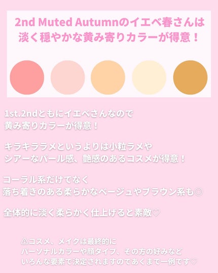 アディクション ザ アイシャドウ パレット/ADDICTION/アイシャドウパレットを使ったクチコミ(2枚目)