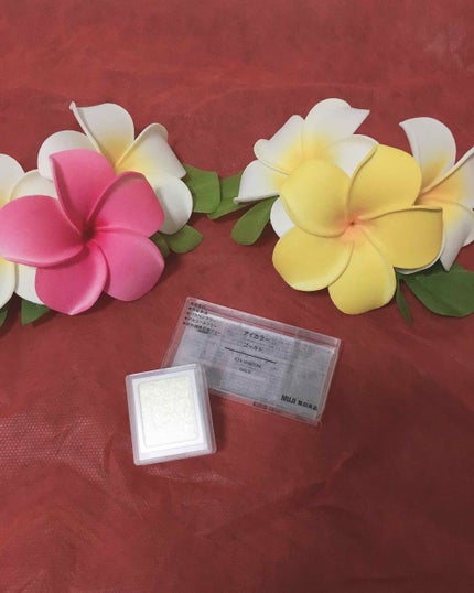 ã¢ã€ã«ã©ãŒ/ç¡å°è¯å/åè²ã¢ã€ã·ã£ããŠã䜿ã£ãã¯ãã³ãïŒ1æç®ïŒ