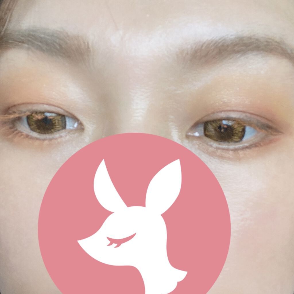 アイプランナー/excel/単色アイシャドウを使ったクチコミ（3枚目）