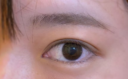 ヴィセ リシェ アイブロウパウダー BR-5 ニュアンスブルー(限定)/Visée/パウダーアイブロウを使ったクチコミ(1枚目)