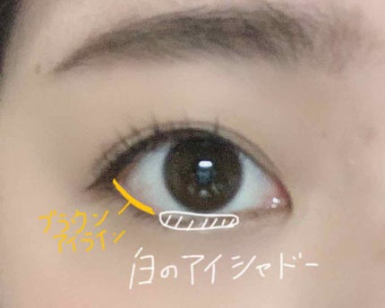 「塗るつけまつげ」ロングタイプ/デジャヴュ/マスカラを使ったクチコミ(3枚目)