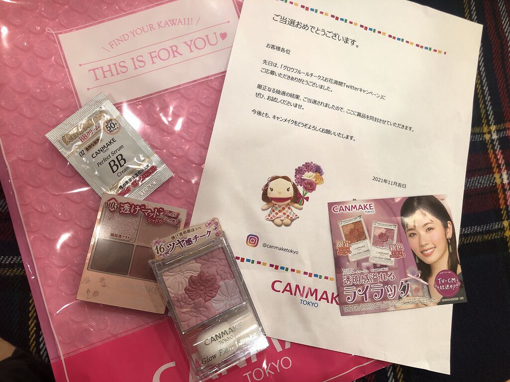 シルキースフレアイズ（マットタイプ）/キャンメイク/アイシャドウパレットを使ったクチコミ（1枚目）