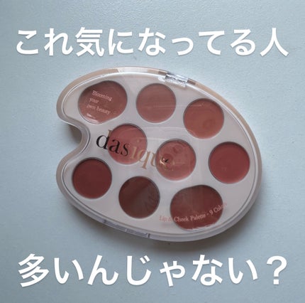 ムードペインティングリップアンドチークパレット/dasique/マルチパレットを使ったクチコミ(1枚目)