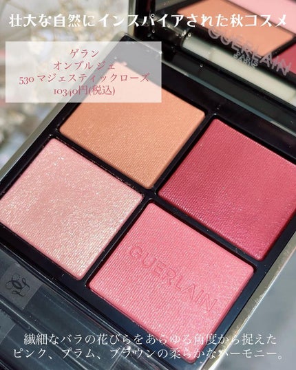 オンブル ジェ/GUERLAIN/アイシャドウパレットを使ったクチコミ(2枚目)