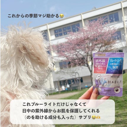 ビューパワープラス アスタキサンチン・ルテイン/常盤薬品/健康サプリメントを使ったクチコミ(5枚目)