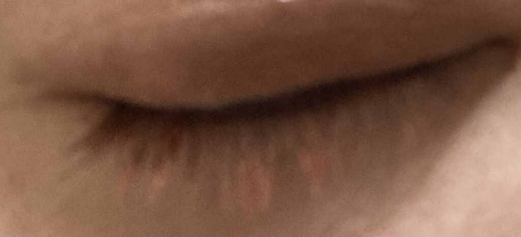 カラーマスカラ 02 テラコッタ/sopo/マスカラを使ったクチコミ（2枚目）