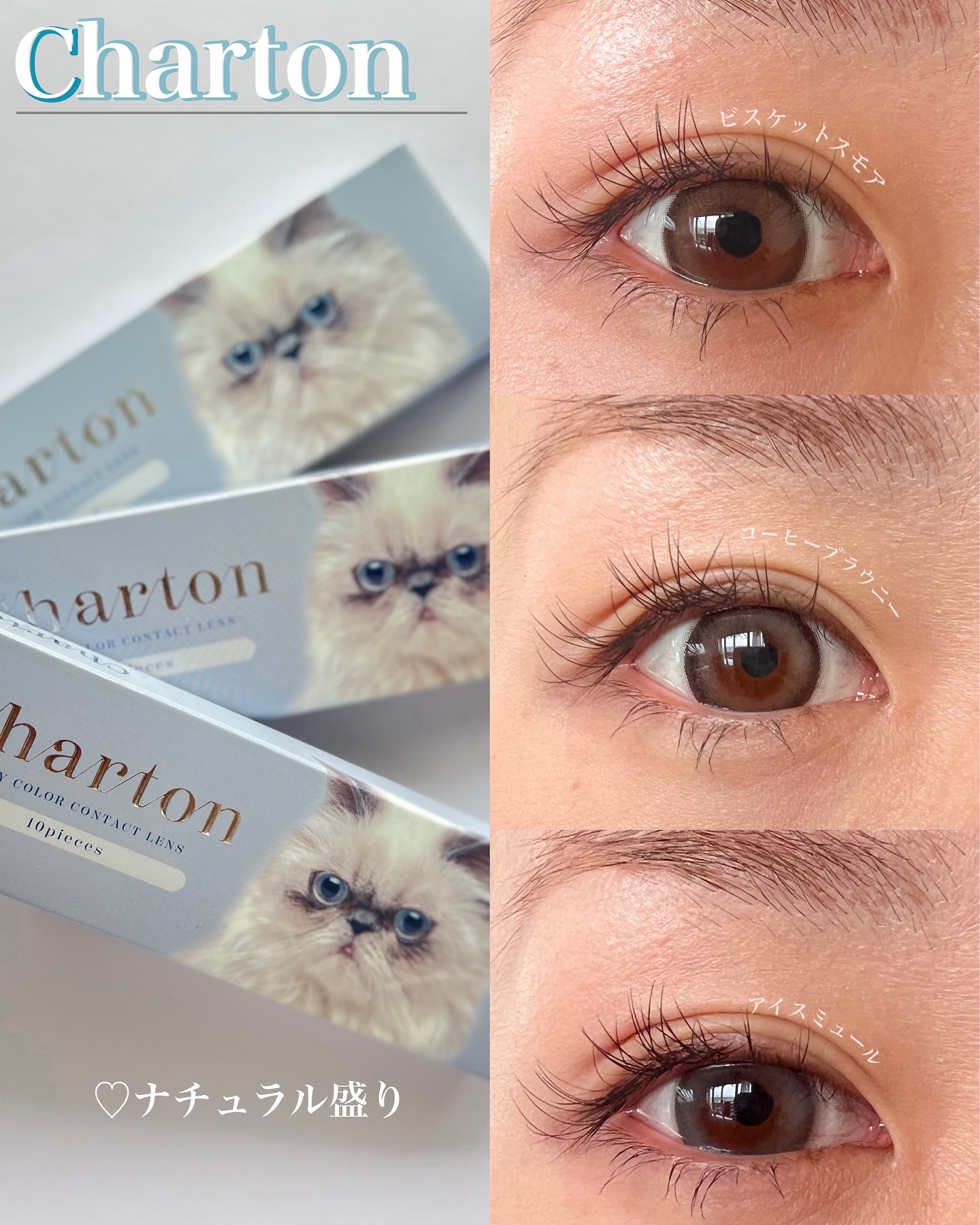 Charton 1day ビスケットスモア/Charton/ワンデー（１DAY）カラコンを使ったクチコミ（1枚目）