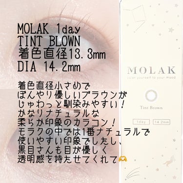 MOLAK 1day ティントブラウン/MOLAK/ワンデー（１DAY）カラコンを使ったクチコミ（2枚目）