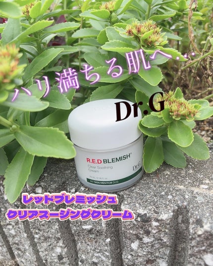 レッドブレミッシュ クリアスージングクリーム/Dr.G/フェイスクリームを使ったクチコミ(1枚目)
