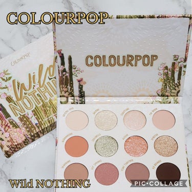  ワイルドナッシング/ColourPop/アイシャドウパレットを使ったクチコミ（1枚目）