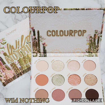 ワイルドナッシング/ColourPop/アイシャドウパレットを使ったクチコミ(1枚目)