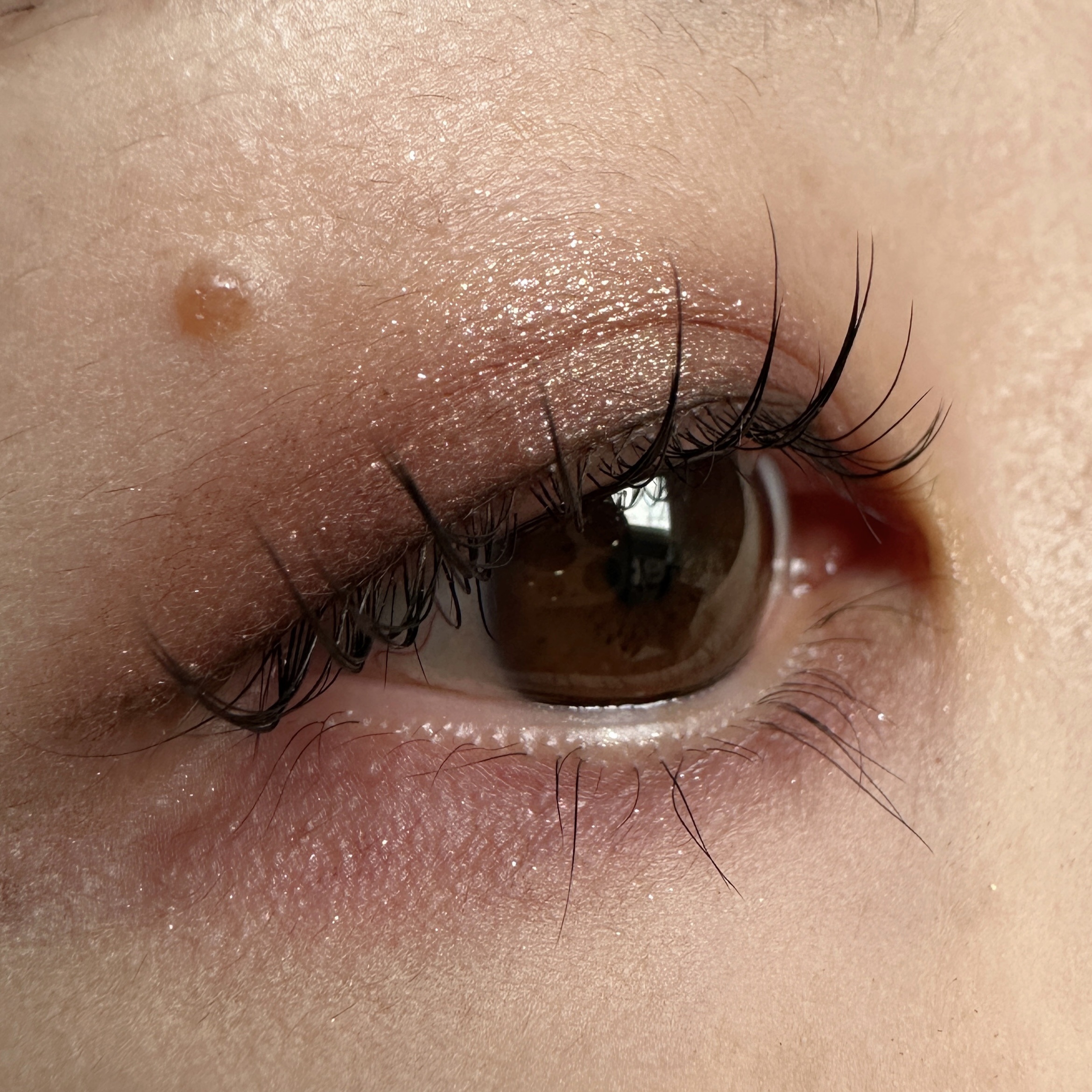 オンブル ドゥ エルメス パレット クワテュール 06 オンブル・モルドレ/エルメス/アイシャドウパレットを使ったクチコミ（2枚目）