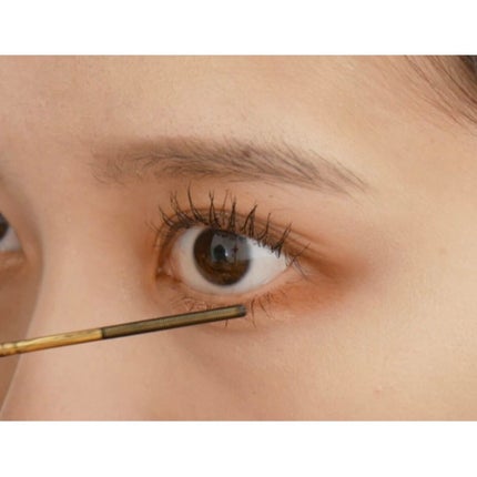 エクストラ スリム メタル マキシカラ/NEOGEN/マスカラを使ったクチコミ(3枚目)